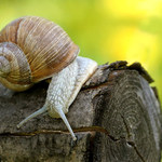 "Pozooor, měním směr..!"