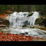 Podzimní Krakonošovo,...