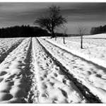 ...bílá romantika 1...