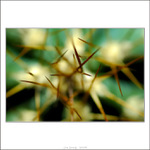 ... dotyky V. - XXX ...