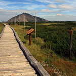 Sněžka z úpského rašeliniště