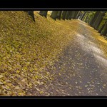 Podzimní procházka