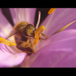 ..Tady se ještě pracuje..