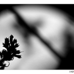 Na prahu nového sveta