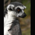 už mne s tim focenim vážně sereš