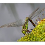 Krkolomná cvičení.....