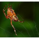 Oprava svépomocí....