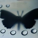 experiment 3