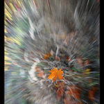 Jesenná gravitácia I.