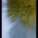 Jesenná gravitácia II.