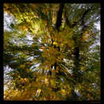 Jesenná gravitácia III.