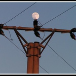 Pozor na správnou polaritu!