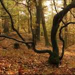 Elegantní zakřivení II