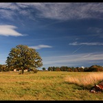 Minulost a současnost