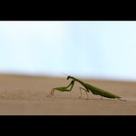 našlapujte po špičkách...