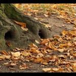 dvojdomek s krásným výhledem zn. spěchá...