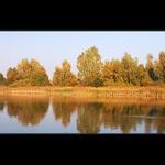 U vody.