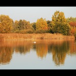 U vody III.