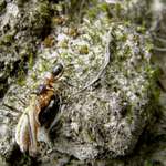 ...se všichni zase přežerou a já sbych se dřel!!