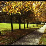 Cestičkou k podzimu