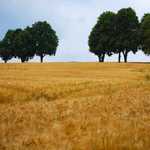 To není země, to je zahrádka