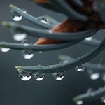 učím se kapičky....