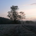 Mrazivé nedělní ráno