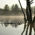 Ranní mlžení nad kačákem
