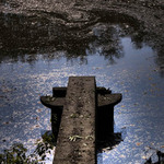  ... opět jedna z podzimních ... :o)