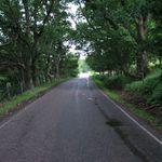 dubovy tunel