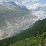 Aletsch