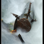 Torpédo-řeka Křinice