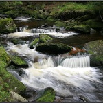 Splávky na Hamerském potoce