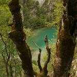 Z Plitvických jazier