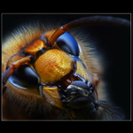 HURÁ, PROTEÍNY !!!!