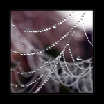 perlový náhrdelník