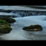 Ostrůvek zlomených srdcí