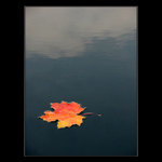 Jen tak si plout....