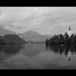 Bled