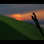 já se tě nebojím :)