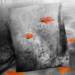 záhrada II - jeseň