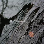 Kurz metání kozellců