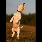 Kyti,kyti,kytičkááá!