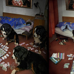 monopoly 1 a 2 část