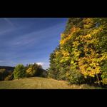 Mezi Loučkami a Klokočím