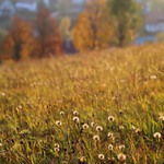 Podzim ve Valteřicích