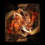 Mít plnou náruč ...