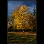 Císařská obora - Letohrádek Hvězda