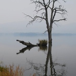 Věstonická nádrž