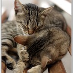  Drž!!Něco ti pošuškám.